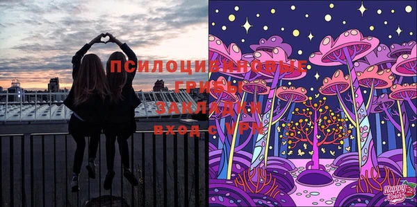 прущие грибы Арсеньев