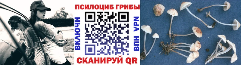 ссылка на мегу маркетплейс  Жирновск  Галлюциногенные грибы Magic Shrooms 