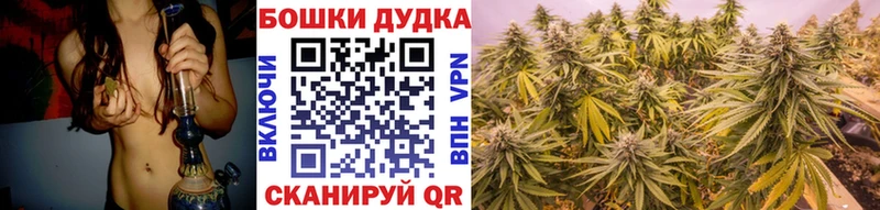 Шишки марихуана сатива  Жирновск 